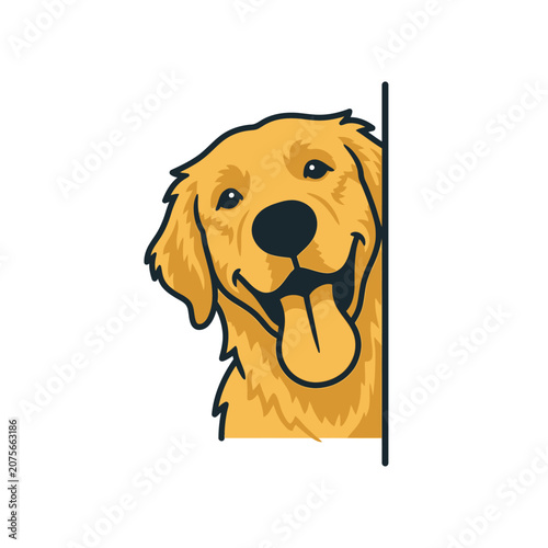 A happy golden dog peeking from behind a vertical wall edge