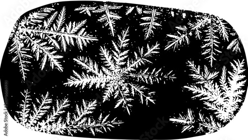 Abstract snowflake and frost crystal pattern monochrome design with snowflake seasonal monochrome abstract background structure ornament decorative geometric complexity intricate botanical