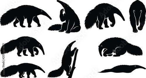 Giant Anteater Silhouette Collection with Walking Standing Climbing and Resting Wildlife Vector Set