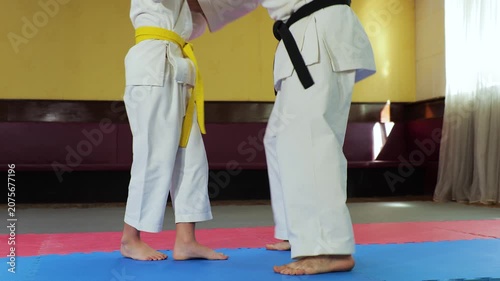 The coach teaches the athlete to perform throws and falls