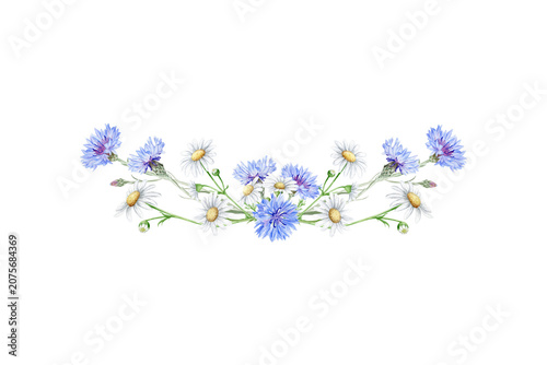 
Delicate watercolor floral border with blue cornflowers and white chamomile daisies arranged in a symmetrical horizontal composition. Elegant botanical illustration isolated on white.