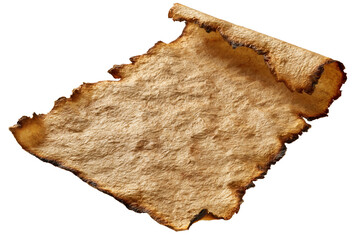 Blank aged parchment sheet with curled scorched borders and worn vintage surface, classic scroll paper isolated on transparent background
