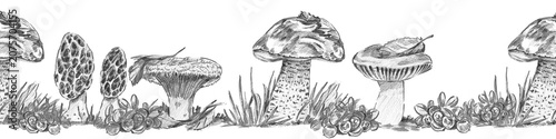 Fotografie Horizontal seamless border with morels, milk cap, russula, aspen bolete, and cranberry clusters
