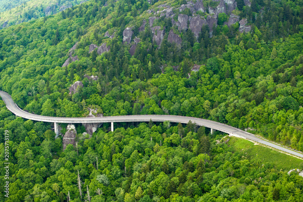 Fototapeta premium Viaduct bridge on winding parkway road in mountain forest with green canopies in summertime. Driving in North Carolina wild woods nature in summer