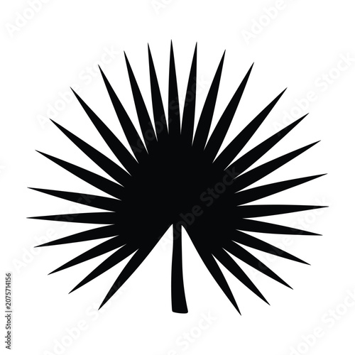 Sea urchin silhouette black and white graphic illustration