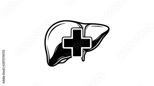 Human Liver Anatomy with Medical Cross Symbol for Healthcare and Wellness Concept