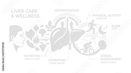 Human Liver Care and Wellness Infographic with Healthy Lifestyle Icons