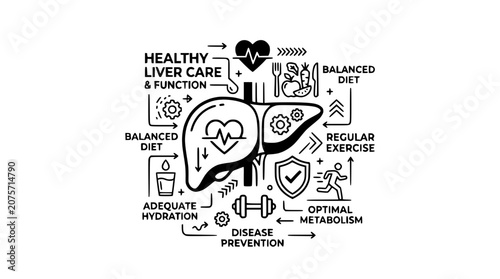 Human Liver Health Infographic with Lifestyle Icons for Wellness and Disease Prevention