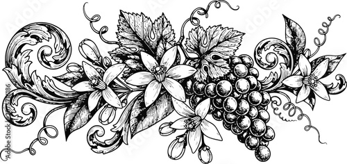 Engraving vintage floral vine with grapes and blossoms in detailed linework against a white background