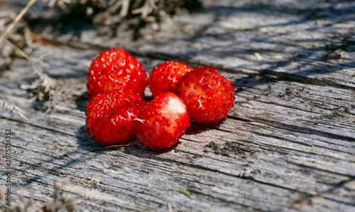 wild strawberries 