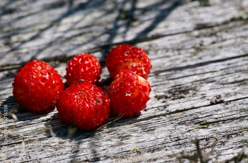 wild strawberries