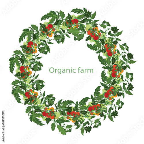 Organic farm food banner, tomato circle frame flat design stock vector illustration for web, for print, for product design