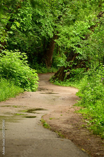 Summer scene of a hiking trail in an urban park