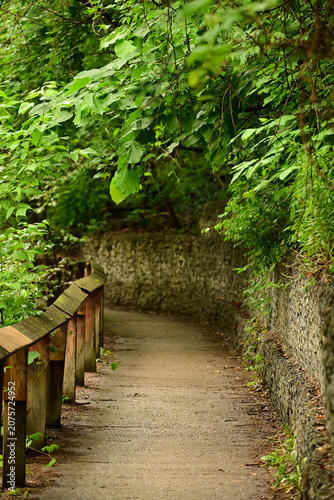 Summer scene of a hiking trail in an urban park