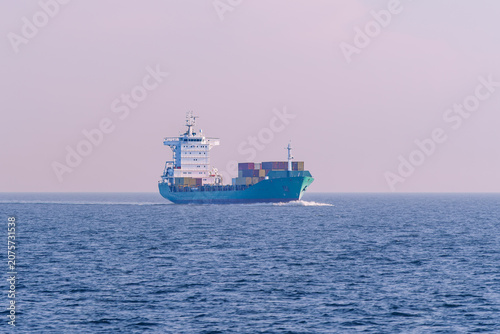 Container cargo ship sailing on the Adriatic Sea