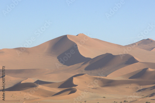 Majestic Sand Dunes of the Namib Desert at Golden Hour with Clear Blue Sky and Dramatic Shadows