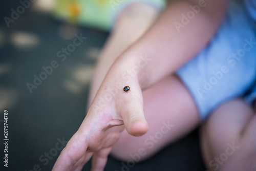 Close-up of a black ladybug with red spots resting on a child's hand, capturing a moment of nature interaction and exploration.