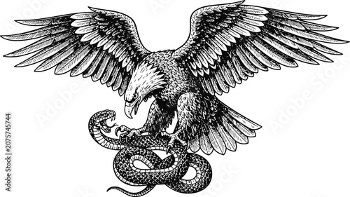 Majestic eagle with wings spread over a coiled serpent in a dramatic engraving vintage style symbolizing power and conflict