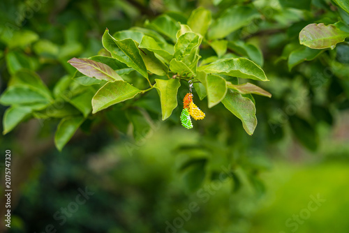 Fotografía Three miniature citrus charm slices made of beads hang on a tree branch in spring: yellow, red, and green