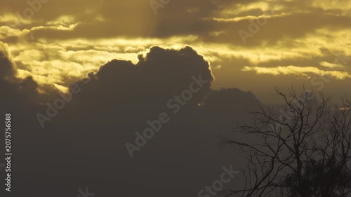 Sunlight breaks through golden clouds at sunset. Silhouettes of bare tree branches frame the scene. Dramatic sky evokes calm or reflective moods. Perfect for nature, travel, or meditation videos