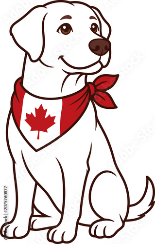 Canadian labrador retriever dog wearing red maple leaf bandana