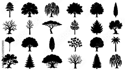 Trees in Various Shapes and Styles as Black Silhouettes on a White Background Featuring Tree, Silhouette, Nature with Forest