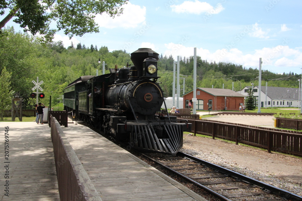 Obraz premium old steam train