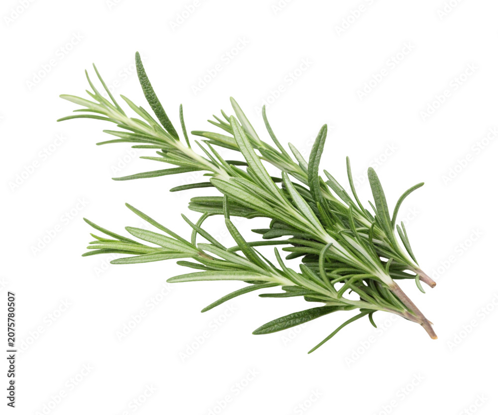 Fototapeta premium Bunch of Fresh Green Thyme Herb Sprigs Isolated