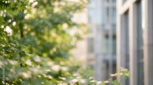 Green leaves of a tree in the foreground with modern blurred buildings in the background on a sunny day.