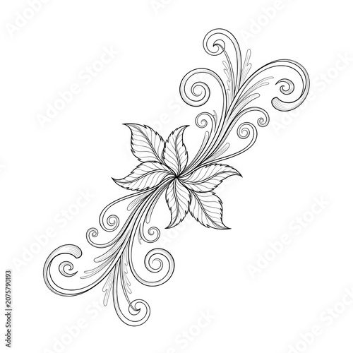 Elegant floral vine design with delicate leaves and swirling tendrils isolated on transparent background