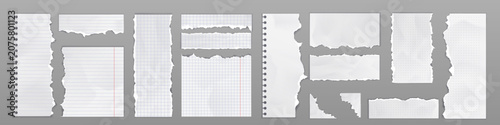 Schilderij op canvas Notebook pages and paper sheets with torn edges
