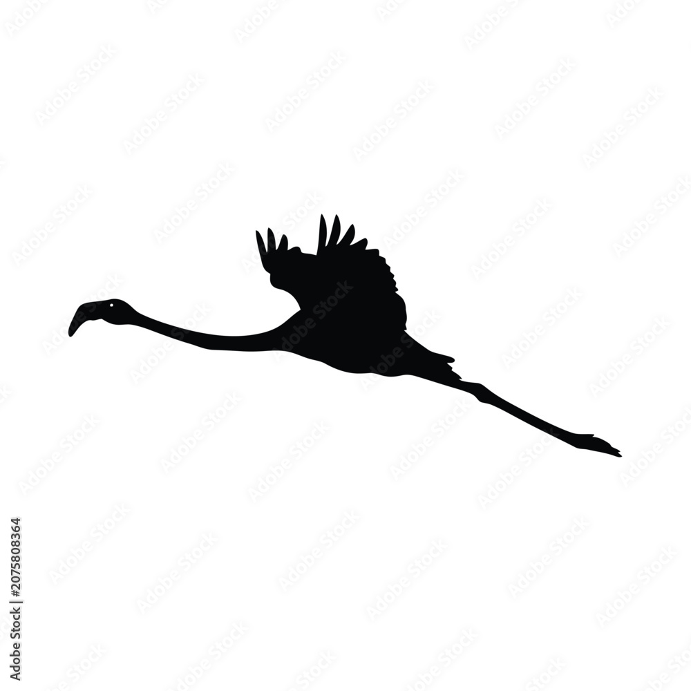 Obraz premium Elegant black silhouette of a flying flamingo in vector illustration style