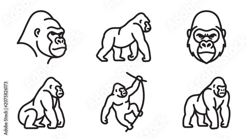 Set of gorilla icons in simple black and white line art style with wildlife illustration minimalist creature silverback standing climbing isolated decoration collection character mammalian
