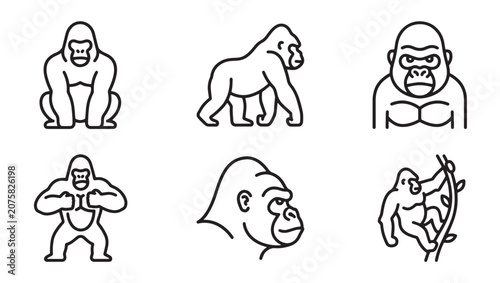Set of various gorilla poses icons in simple black line art style with wildlife illustration minimalist creature silverback climbing standing isolated decoration collection character