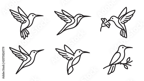 Hummingbird line art illustration set featuring different flying and perching poses hummingbird hovering perching illustration collection delicate tropical creature wildlife silhouette