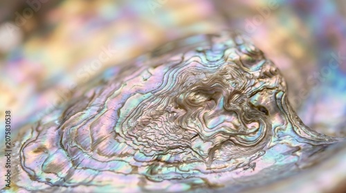Close-up view of natural abalone shell interior texture and luster with mother of pearl, iridescent