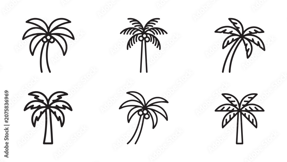 Fototapeta premium Set of tropical palm tree with coconuts vector icons tropical vacation minimalist isolated collection landscape environment paradise silhouette botanical