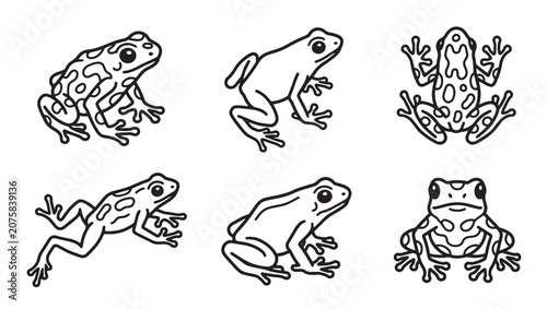 Set of six simple hand-drawn icons depicting frogs in different stances and anatomical positions with amphibian wildlife creature monochrome collection illustration amphibians scientific
