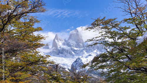 a close view of the summit of monte fitz roy framed by the branches of southern beech trees in los glaciares national park of patagonian, argentina