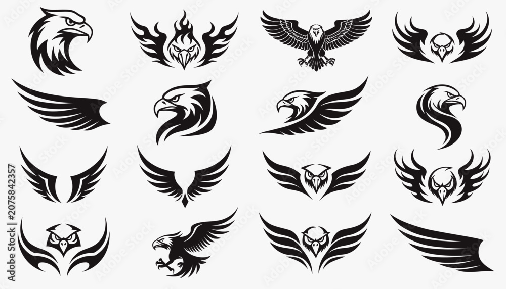 Fototapeta premium Elegant black and white line drawings of various bird species in flight.