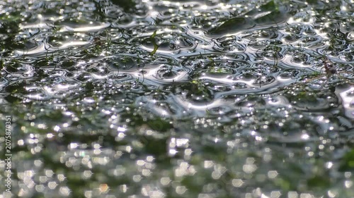 

Mysterious Liquid Texture and Rippling Water Surface with Morning Light, Sci-Fi Abstract Background (4k)
