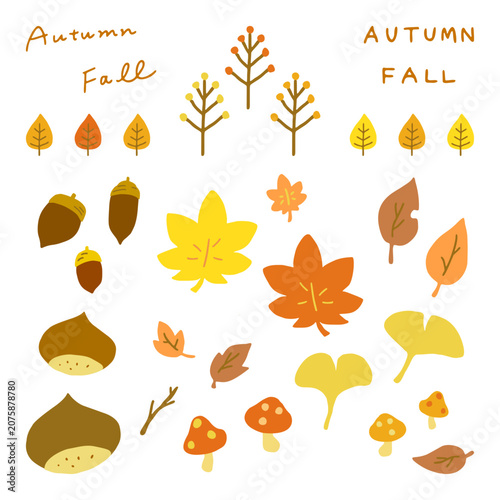 Cute flat autumn illustration set with maple leaves, ginkgo, acorns, chestnuts, mushrooms and hand-lettered text