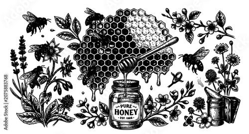 Vintage Beekeeping Tools and Bees Vector Illustration Black and White Honey Sketch Graphics