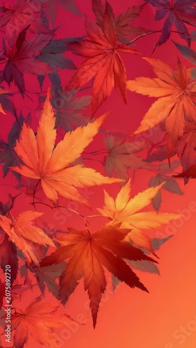 Colorful maple leaves are scattered artistically against a warm gradient, capturing the essence of autumn. The image radiates cozy fall vibes and highlights nature’s seasonal transformation