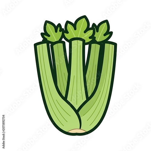 Fresh green leafy vegetable bunch in basket.