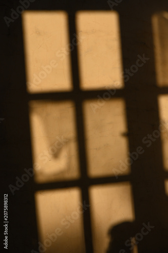 Shadows dance behind the windowpane during a warm evening glow