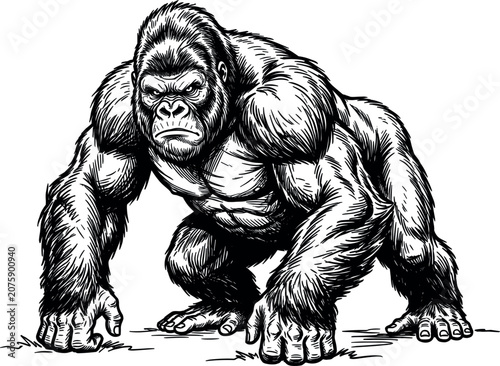 Cuadro en lienzo Powerful gorilla vector line art illustration of an angry silverback ape charact