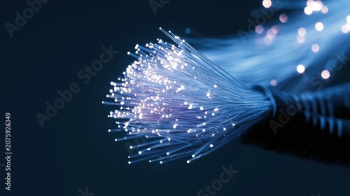 Though in decline in many developed markets, fixed-line services are still critical for high-speed internet in homes and businesses. 
