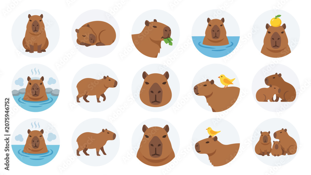 Obraz premium Cute capybara icon set with various poses and activities
