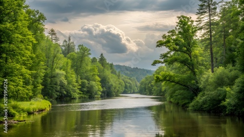 Scenic River Surrounded by Lush Forest Under Dramatic Cloudy Sky